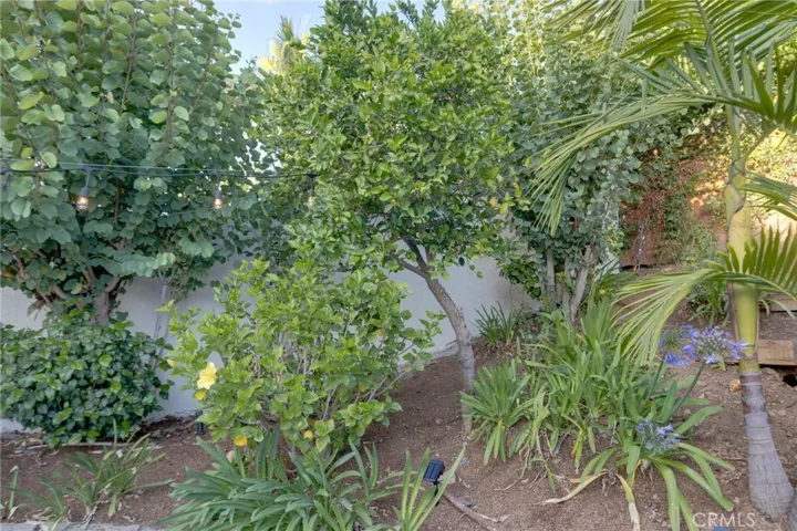 31952 Mill Stream, Trabuco Canyon, California 92679