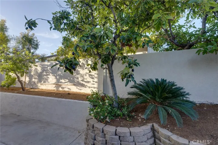31952 Mill Stream, Trabuco Canyon, California 92679