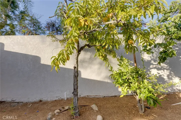 31952 Mill Stream, Trabuco Canyon, California 92679
