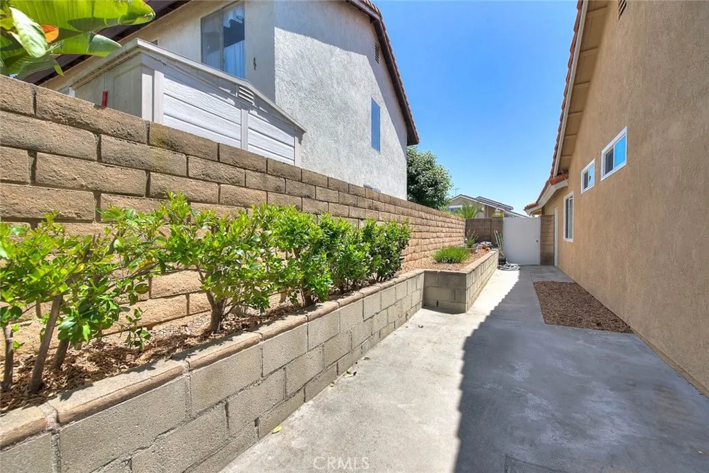 South east side yard