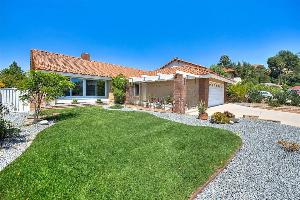 Beautiful new lawn