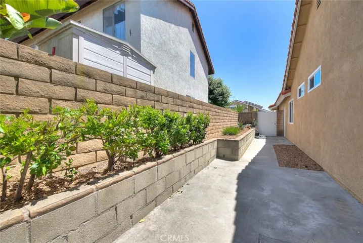 South east side yard
