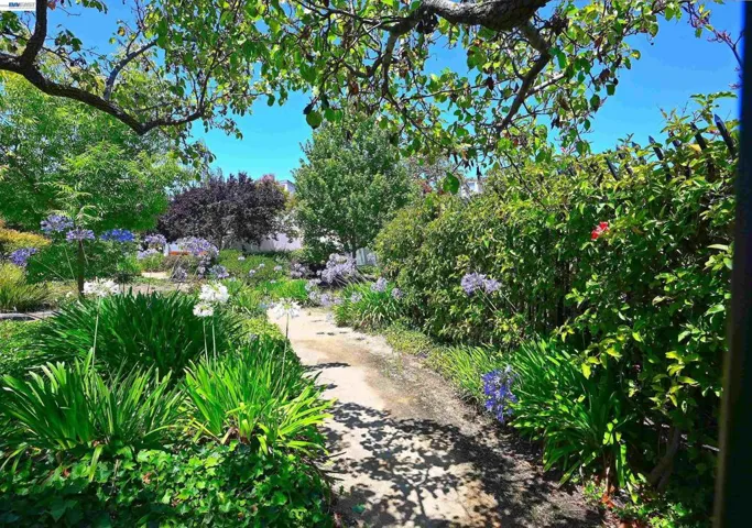 3320 Kimberly Way, San Mateo, California 94403