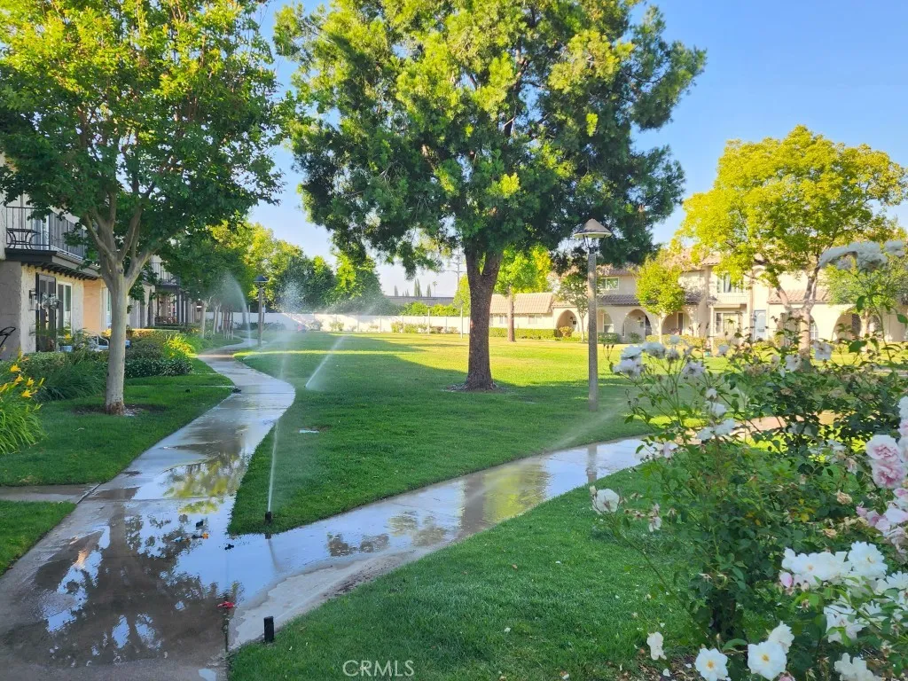 Community Grounds