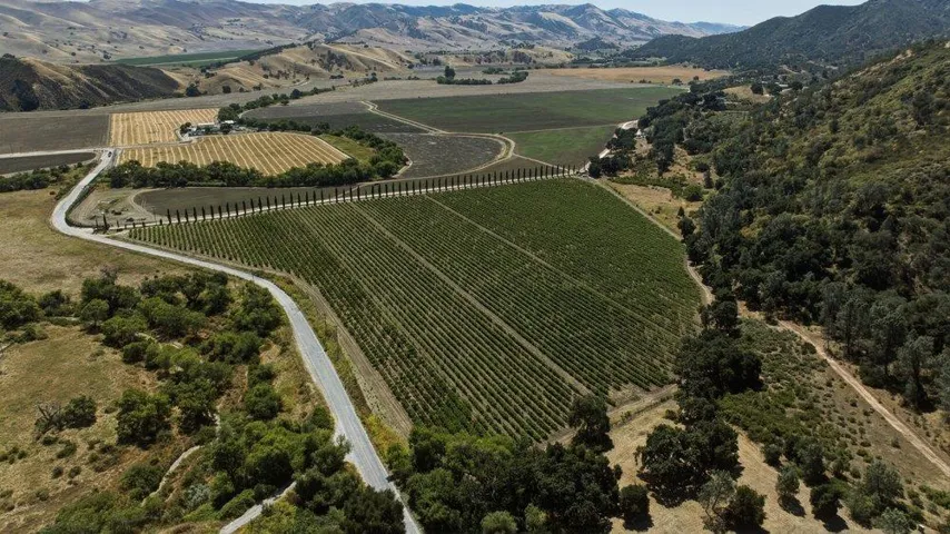 Cienega Road, Paicines, California 95043