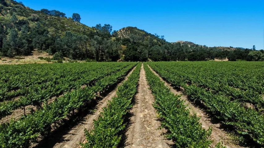 Cienega Road, Paicines, California 95043