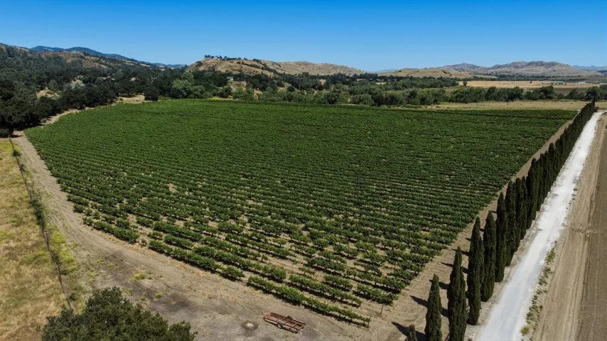 Cienega Road, Paicines, California 95043