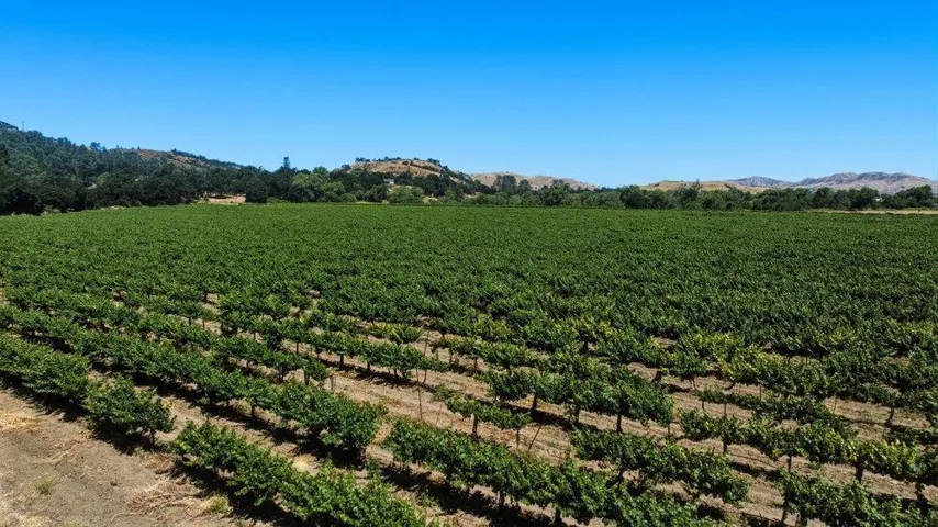 Cienega Road, Paicines, California 95043