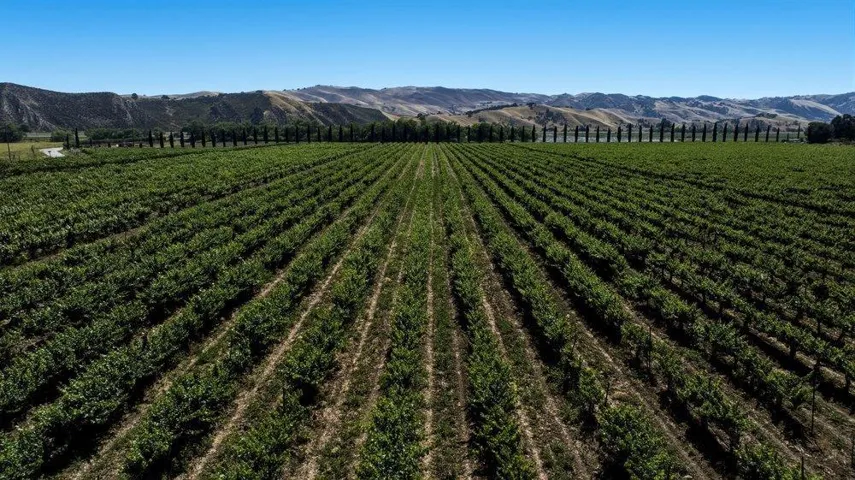 Cienega Road, Paicines, California 95043