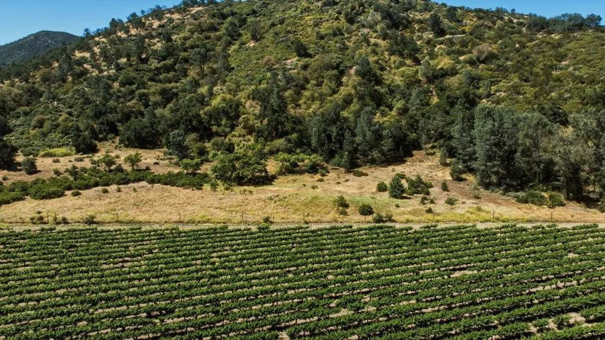 Cienega Road, Paicines, California 95043