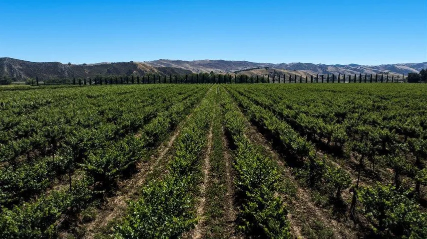 Cienega Road, Paicines, California 95043