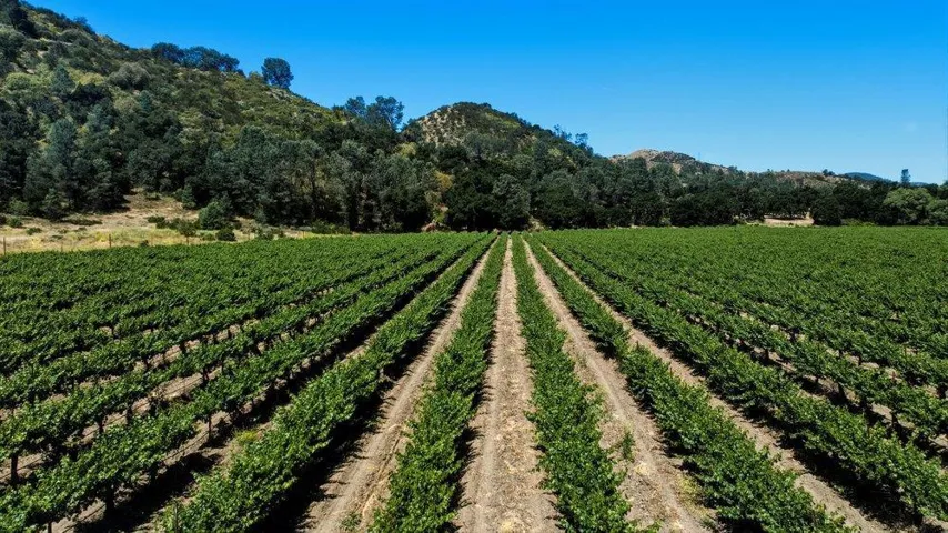 Cienega Road, Paicines, California 95043