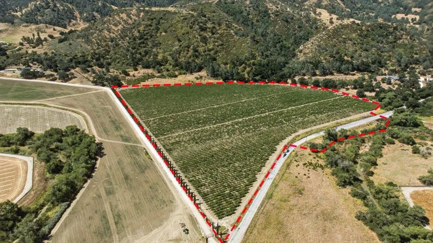 Cienega Road, Paicines, California 95043