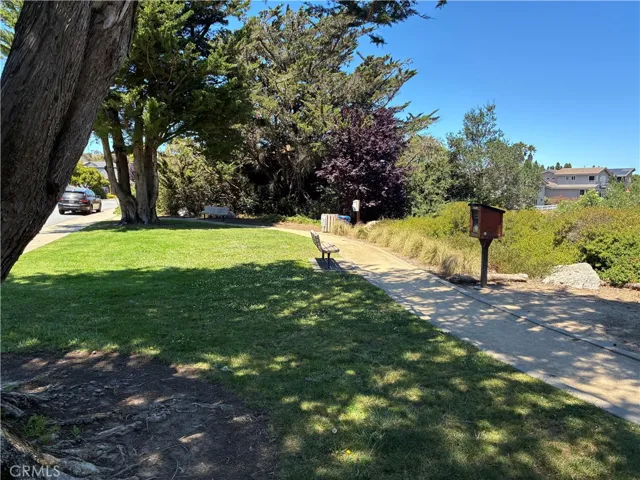 Priolo Martin pocket park with lake shore views and shady bench.