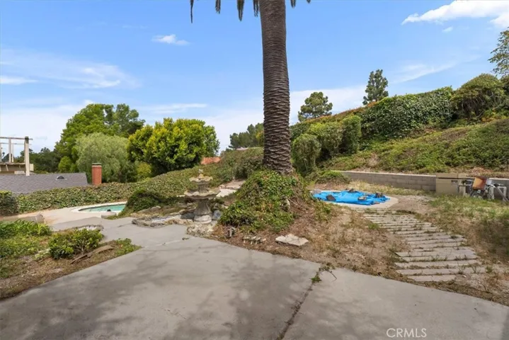 Back yard
