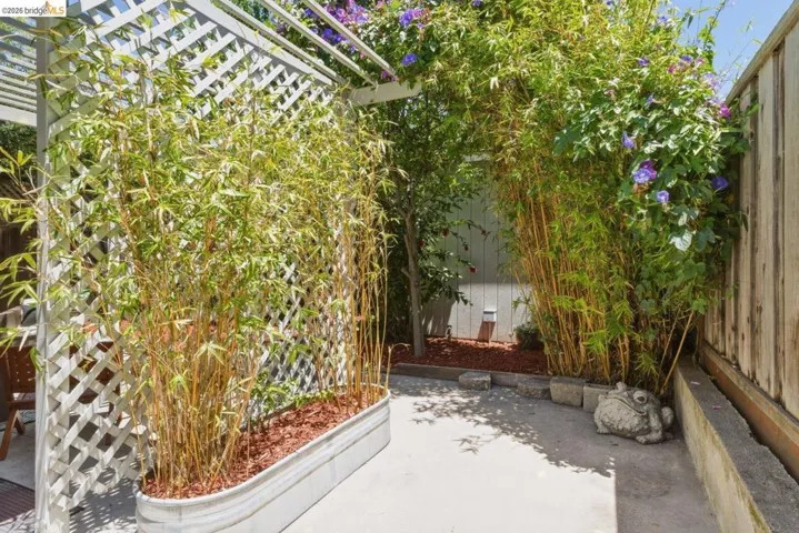 Outdoor patio area featuring a white lattice trellis, mature bamboo in a planter, a bamboo archway with climbing vines, a concrete patio surface, and a wood fence