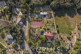 Bird View