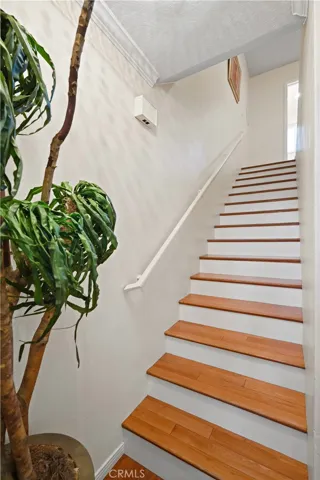 Beautiful Staircase