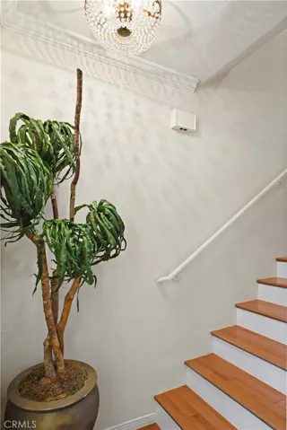 Beautiful Staircase