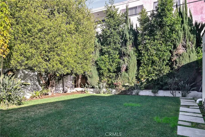 Backyard lawn view #1