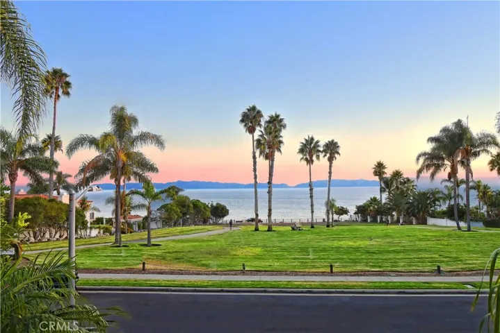 Park & Catalina Island View