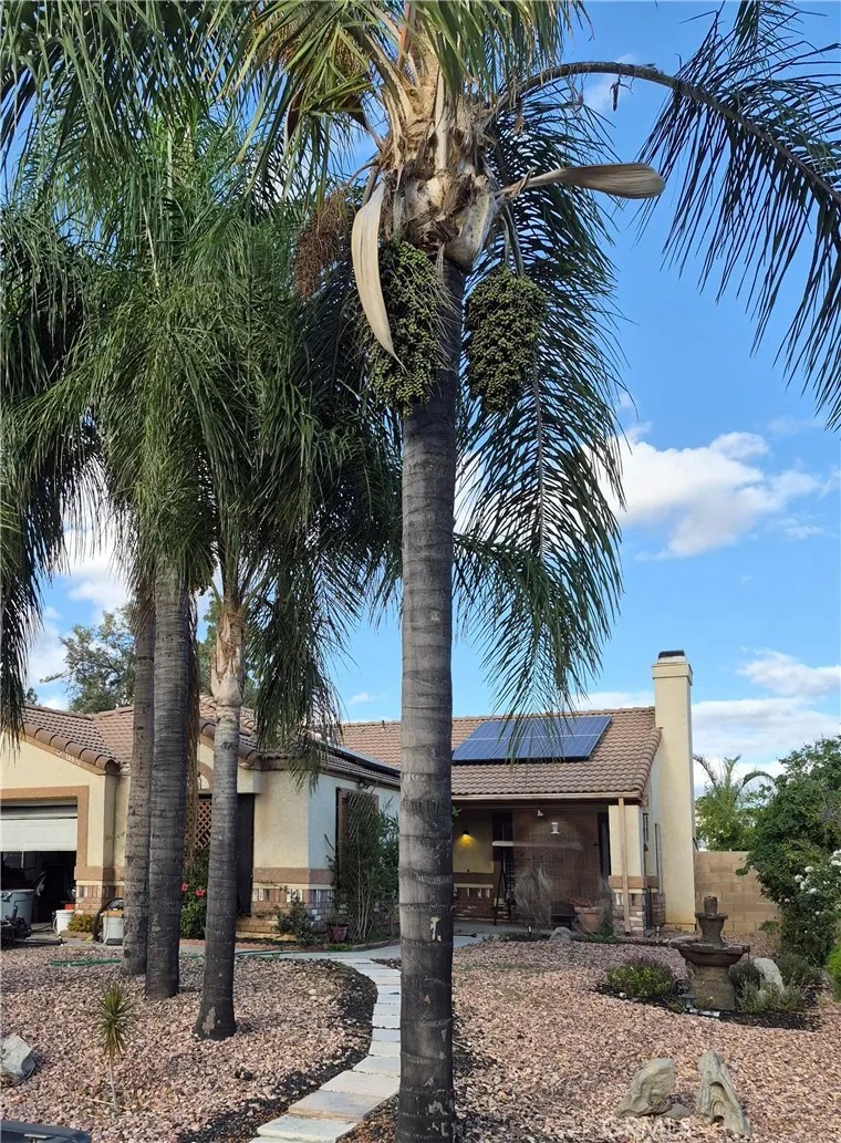Family Home