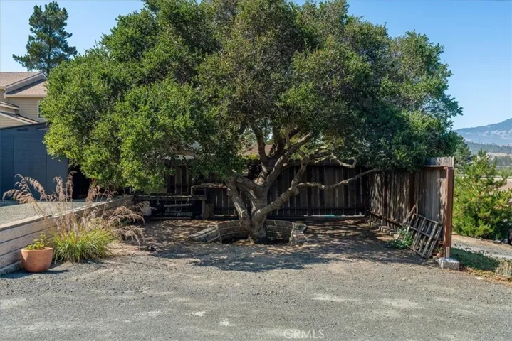 View of tree on property.