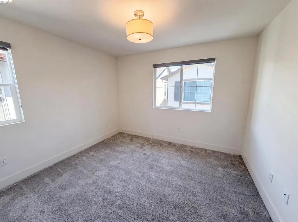Interior room featuring light gray carpeting, white walls, two windows with dark roller shades, and a flush mount ceiling light fixture
