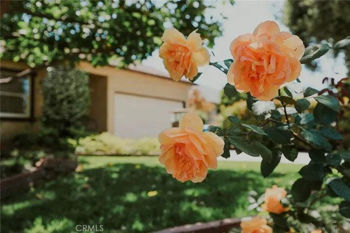 38 W Pamela, Arcadia, California 91007
