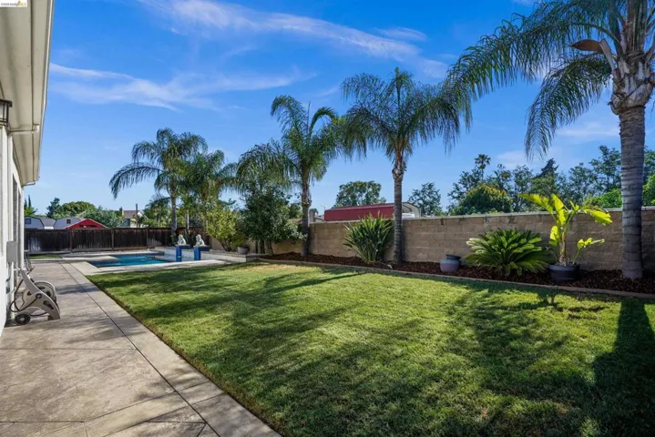 Expansive backyard featuring a rectangular swimming pool, concrete patio, lush lawn, and mature palm trees