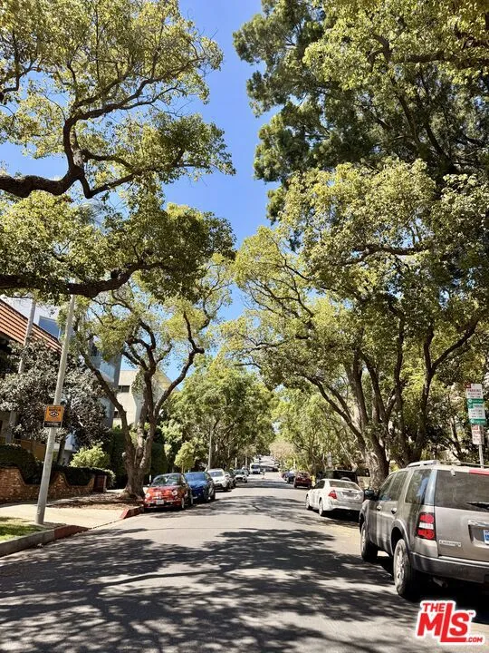 Tree-lined Kings Rd