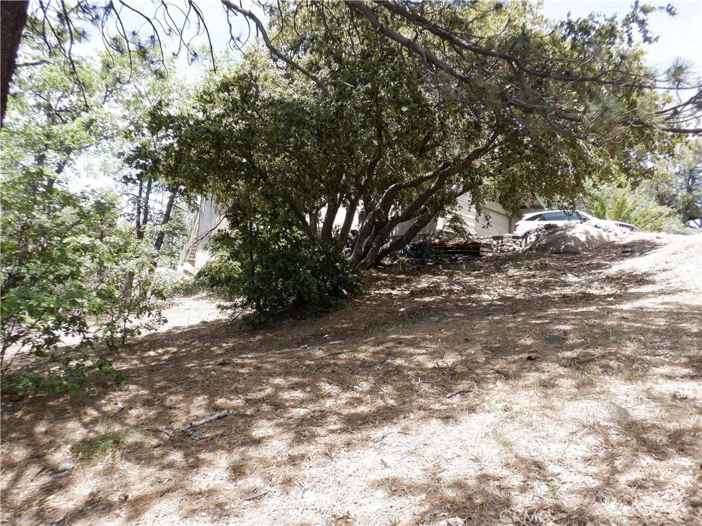 0 Holcomb Creek, Green Valley Lake, California 92341 — photo 5