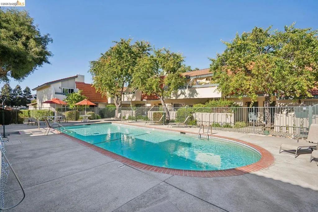 Oval-shaped swimming pool with a brick coping, surrounded by a concrete deck and metal fencing