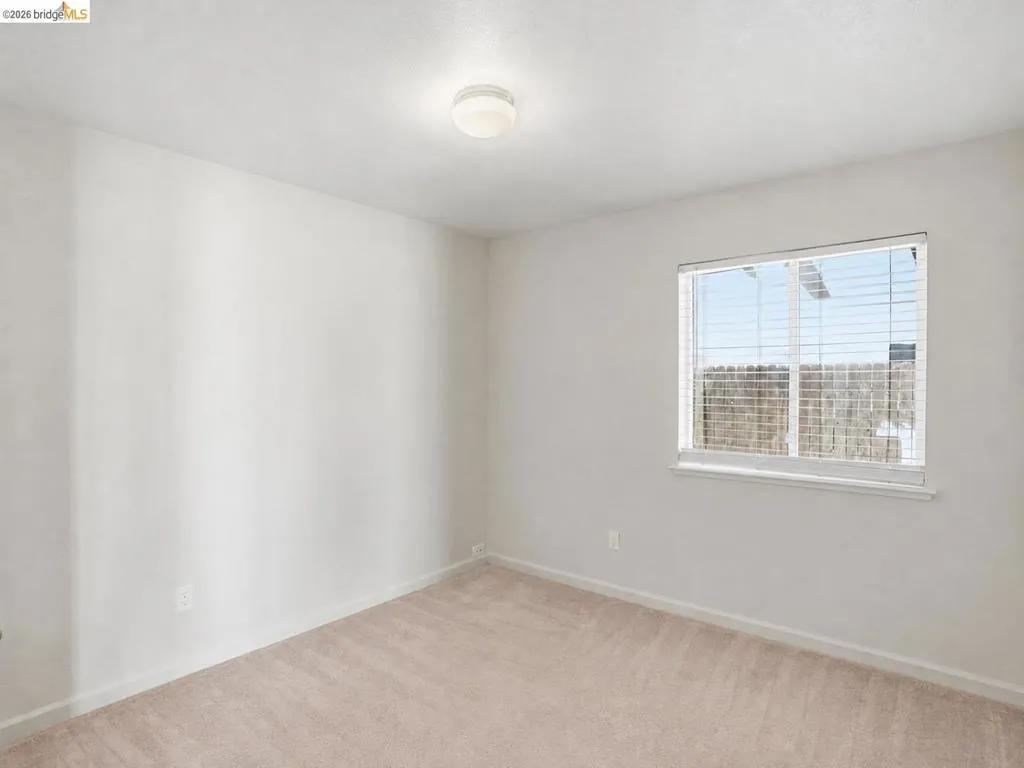 Carpeted room featuring a single window with blinds, a ceiling-mounted light fixture, and neutral wall paint
