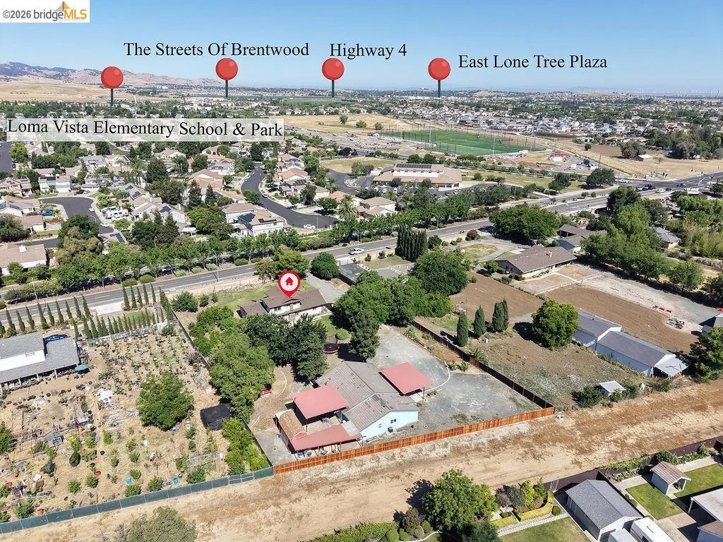 Aerial perspective showcasing the property's expansive lot, mature trees, and surrounding neighborhood