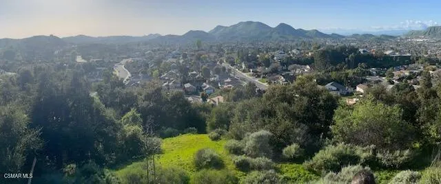 Silas Wide View
