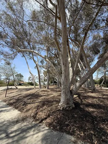 Beautiful park and walkable areas to enjoy