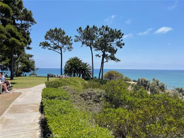 View from Pines Park