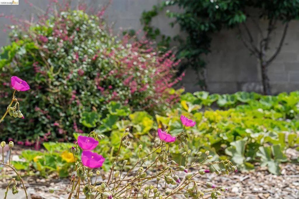 Landscaped garden bed featuring vibrant pink floral accents