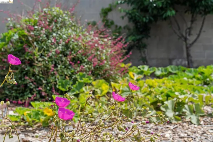 Landscaped garden bed featuring vibrant pink floral accents