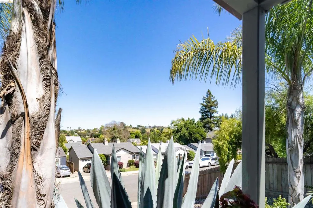 Elevated perspective view from front porch featuring mature palm trees and agave plants