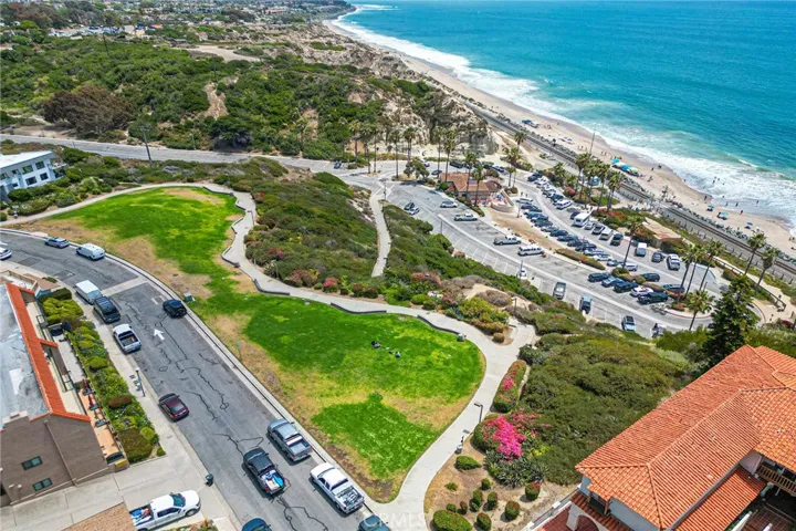 Aerial Park View