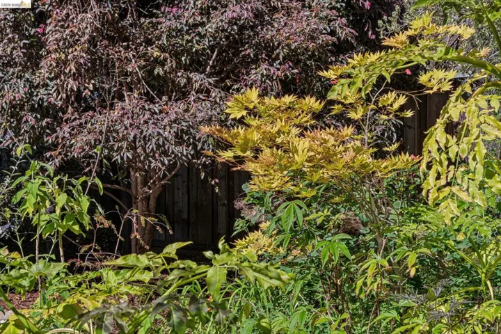 Lush landscaping featuring varied foliage in shades of green, yellow, and burgundy