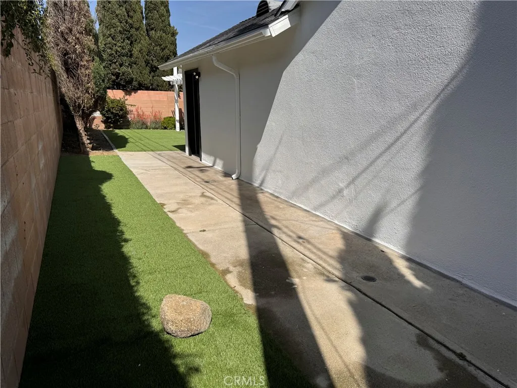 Backyard 1