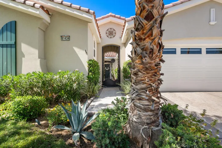 81434 Joshua Tree C
