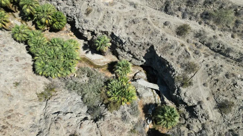 dji_fly_20260526_080234_261_178060041761