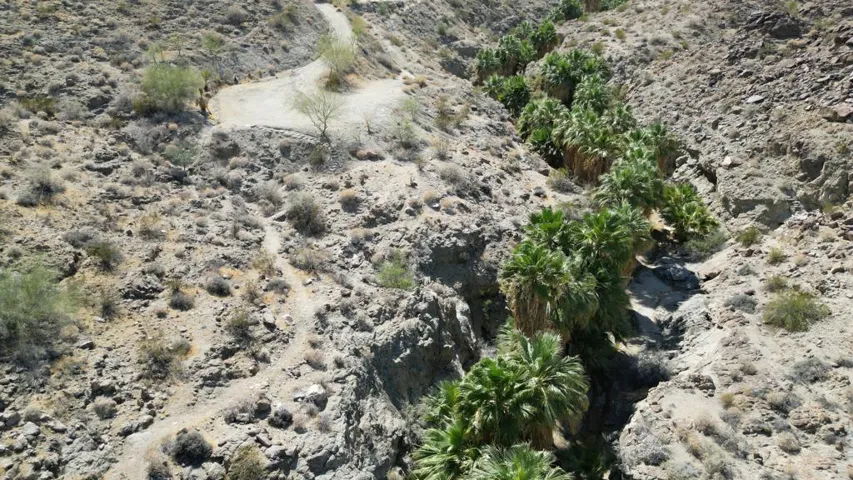 dji_fly_20260526_083550_307_178060040077