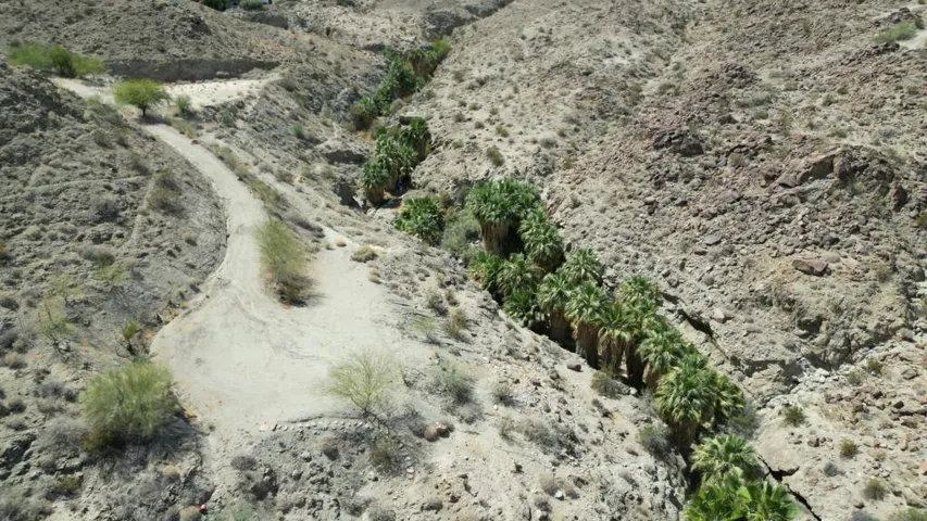 dji_fly_20260526_080056_259_178060041808