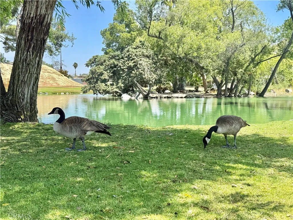 Community Lake