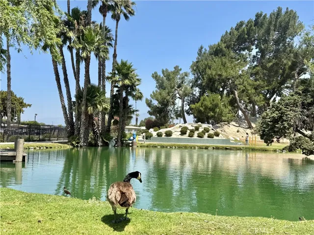 Community Lake
